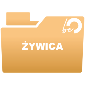 Druk z żywicy